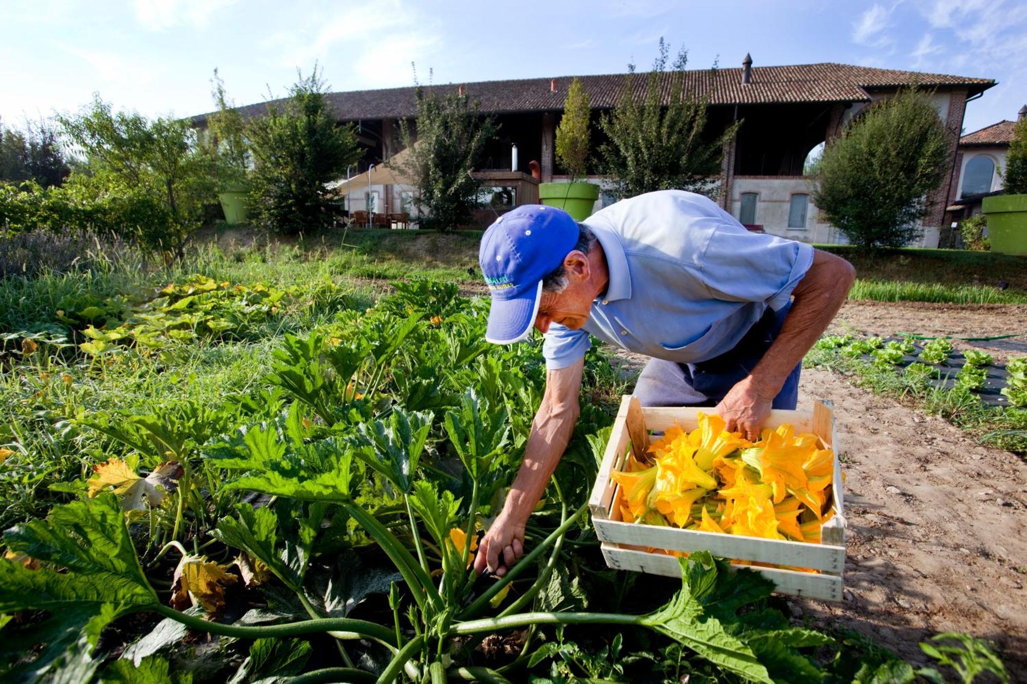 Agriturismo Cascina Caremma Besate Екстериор снимка