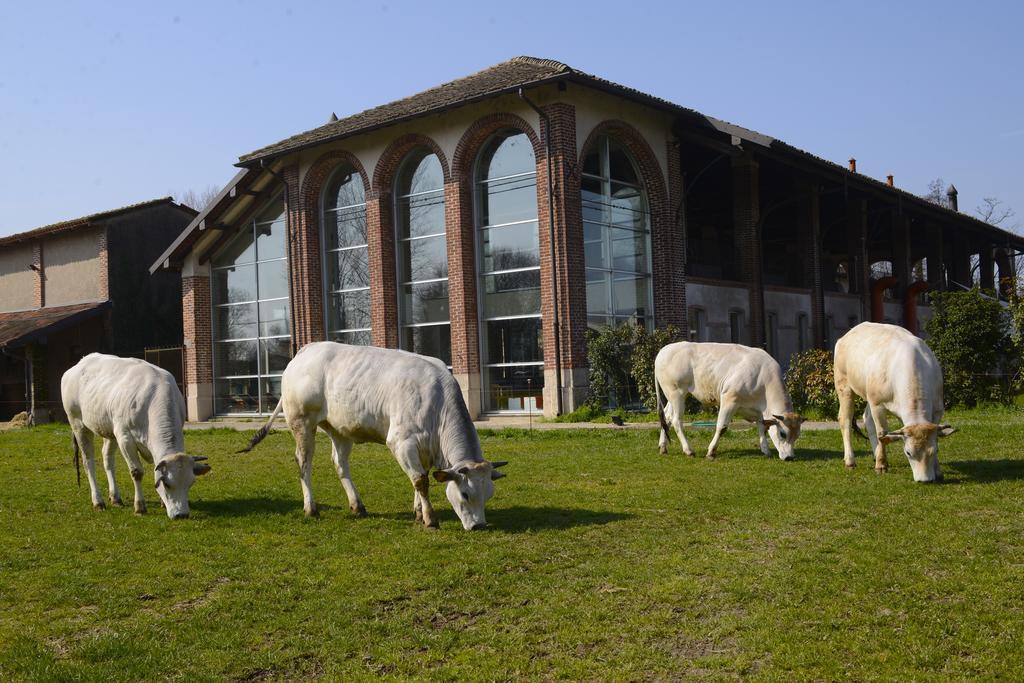 Agriturismo Cascina Caremma Besate Екстериор снимка